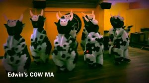 Edwin’s COW MA DANCE | FUN DANCE | FOOTLOOSE