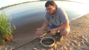 Рыбалка на реке Шоша, Иваньковское водохранилище, деревня Безбородово, Тверская область