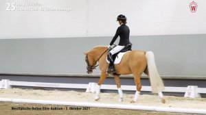 Online Elite-Auktion Lot 25 Diamond Blue Hengst v. FS Daddy Cool - FS Golden Moonlight