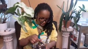 2023 1st Birthday Plant Unboxing: NicePlantsGoodPots