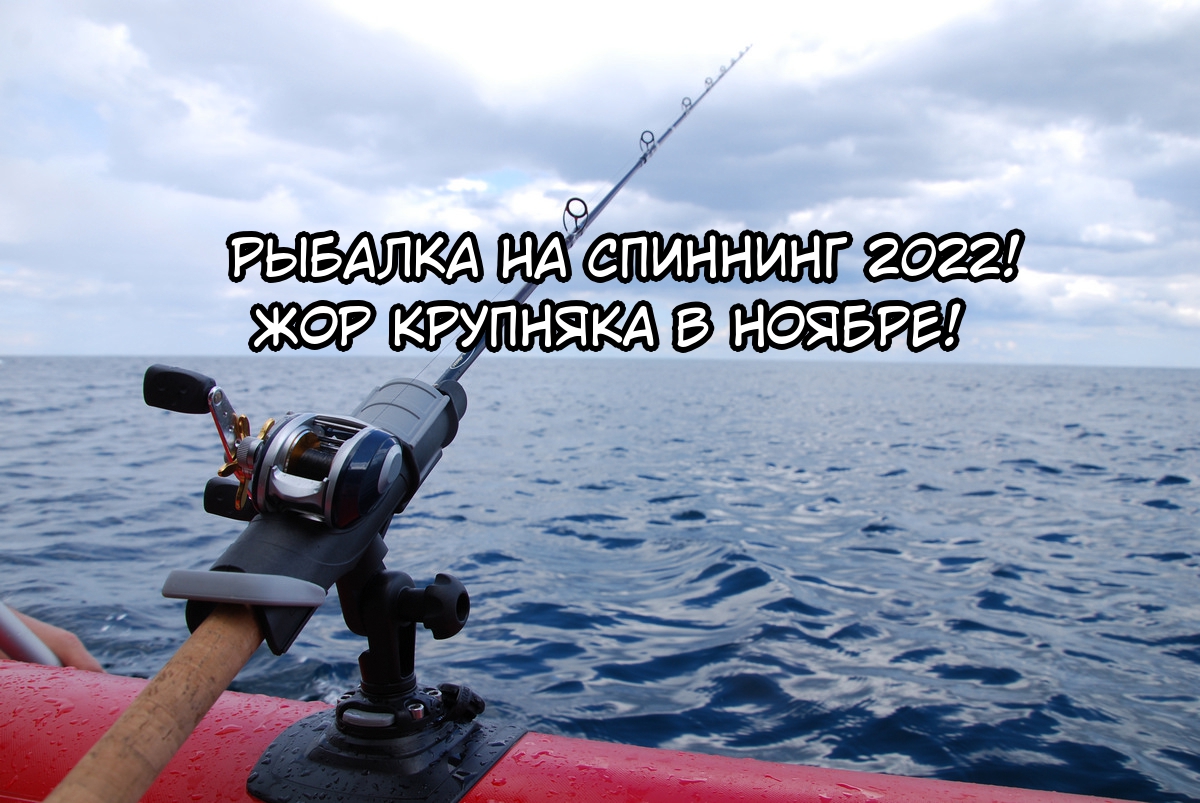 РЫБАЛКА НА  СПИННИНГ 2022! ЖОР КРУПНЯКА В НОЯБРЕ! смотреть онлайн