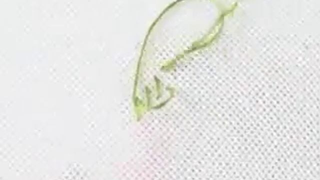 30 Датский способ - Вышивка крестом смотреть онлайн