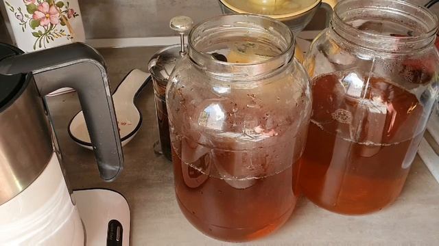 Что делать, если ЧАЙНЫЙ ГРИБ превратился в УКСУС смотреть онлайн