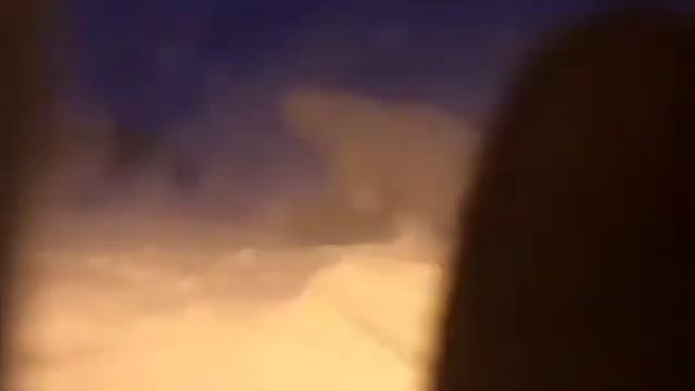 Встреча с белым медведем смотреть онлайн