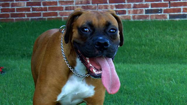 Слушать хорошую музыку и фото 2015 смотреть онлайн