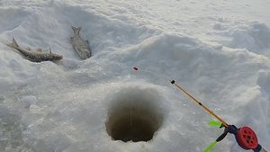 Зимняя рыбалка на северной реке Етыпур, половили окуня и сорожку