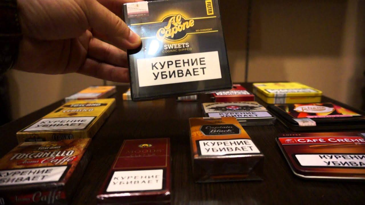 Сигариллы: как выбрать и где купить смотреть онлайн