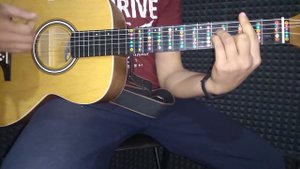 Песни под гитару. Птицы белые мои аккорды