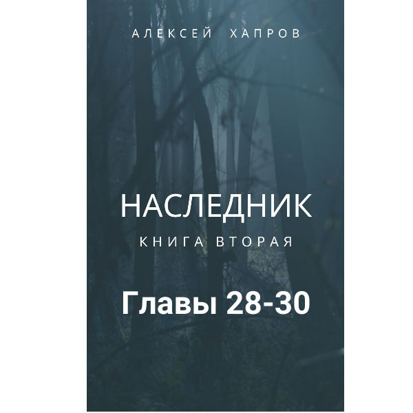 Наследник. Книга вторая
Главы 28-30