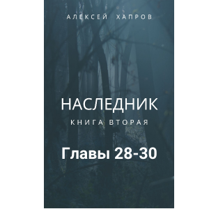 Наследник. Книга вторая
Главы 28-30