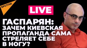 Гаспарян о предложении Польши забыть про европейские ценности и признании Киева о флаге на Змеином