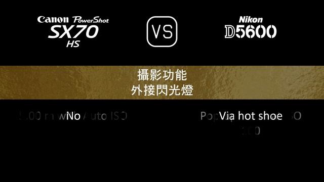 Canon PowerShot SX70 HS 與 Nikon D5600 的規格比較 смотреть онлайн