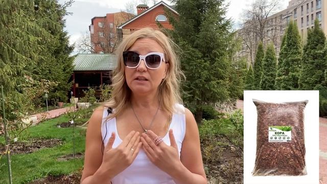 РОЗЫ.ПОЛИВ РОЗ УДОБРЕНИЯМИ ПОД КОРЕНЬ, МУЛЬЧА ДЛЯ РОЗ, БАКОВЫЕ ОБРАБОТКИ РОЗ. смотреть онлайн