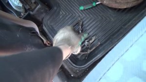 агила задний барабан