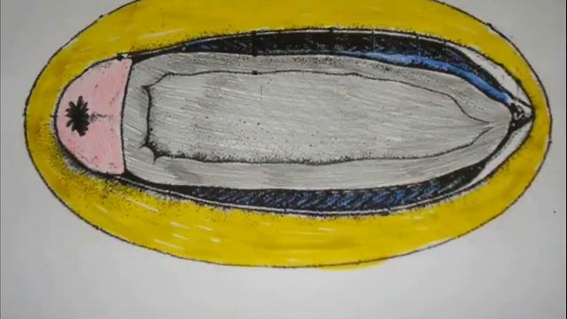 Какие бывают Моллюски? смотреть онлайн