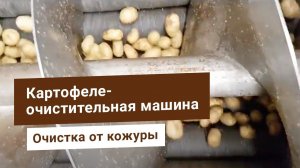 Линия чистки картофеля: корундовая (абразивная) и ножевая очистка. Картофелеочистительная машина.