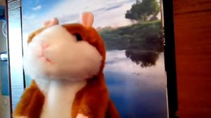 Поющий хомяк Фома, говорящий хомяк-повторюшка