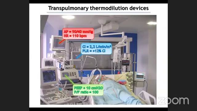 HEMODYNAMIC MONITORING IN THE CRITICALLY ILL смотреть онлайн