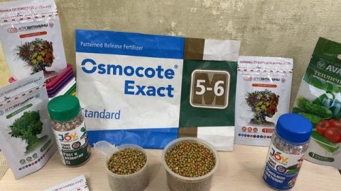 Какое удобрение выбрать?