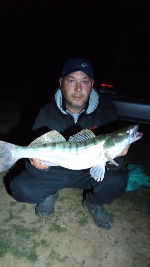 Спиннинг в дугу, что там за рыба попалась? Вечерний выезд на рыбалку  р. Волга с отличным уловом!