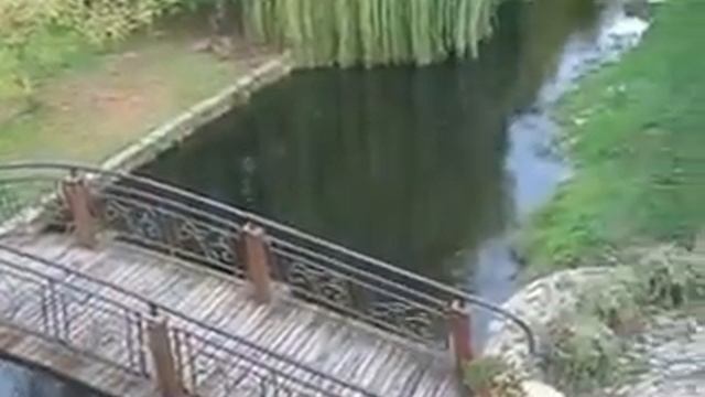 плакучая ива смотреть онлайн