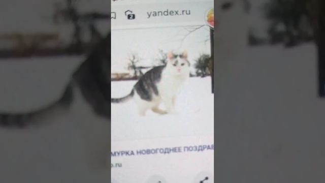 Почему Мурка выросла без мамы Ну почему это только во сне смотреть онлайн