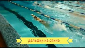 Как научиться плавать дельфином. Ноги дельфин. How to swimm butterfly?