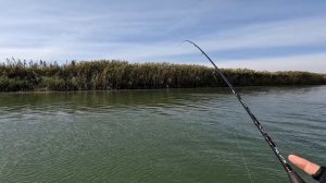 Рыбалка на реке Маныч. Как Тейл спиннер и вертушка, спасли рыбалку! трейлер