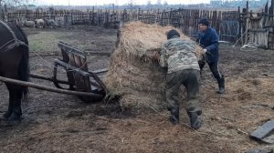 На санях для лошади можно работать и летом..