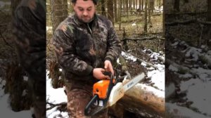 Кормушка для кабана из бочки
