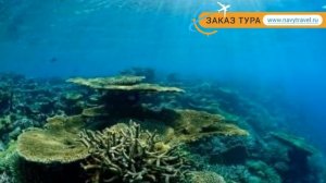 ANANTARA VELI MALDIVES 5* Мальдивы обзор – отель АНАНТАРА ВЕЛИ МАЛЬДИВЫ 5* Мальдивы видео обзор