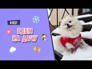 ВЛОГ | КАССИ ЕДЕТ НА ДАЧУ | ОДИН ДЕНЬ С КАССИ | КАССИ РАДУЕТСЯ СНЕГУ