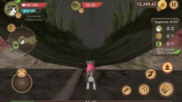 ?Симулятор ?кошки / cat ?Sim ?страшный сон? / ?Вероника Клубника? смотреть онлайн