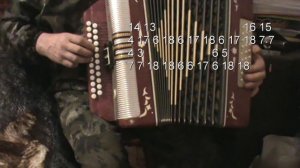 Золотое сердце разбор с цифрами