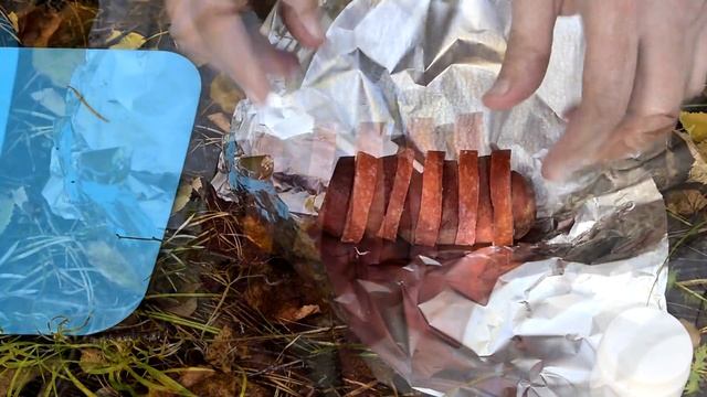 Золотая осень Западной Сибири и картошка запечённая в фольге на углях. смотреть онлайн