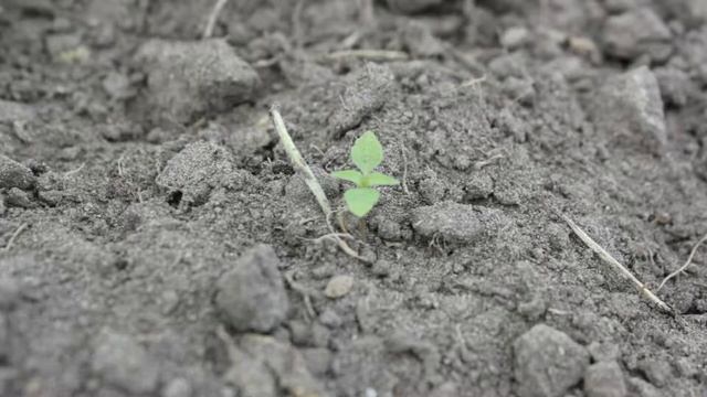 Овен общее описание характеристика знака зодиака смотреть онлайн