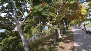 Прогулка по Петропавловску-Камчатскому.