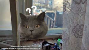 ОХ и АХ Продолжение ремонта, пластиковые окна...