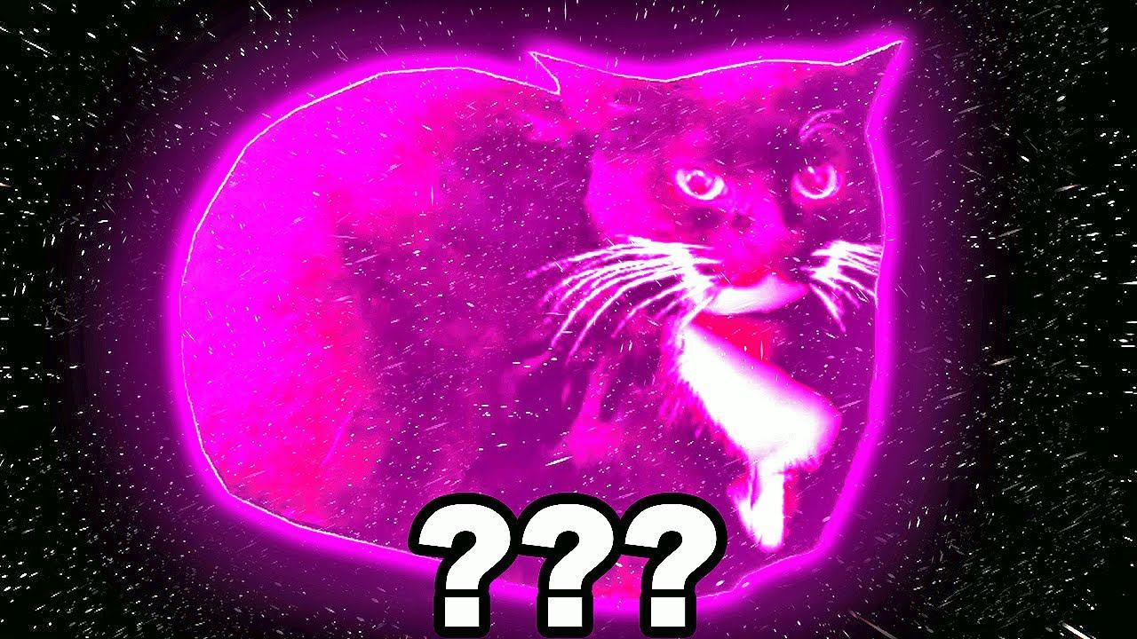 Maxwell The Cat Sound Variations in 38 Seconds