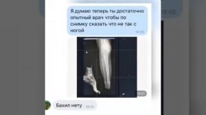 Шуточная песня про труд врача...