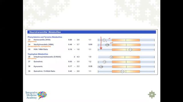 Connecting Specific Markers Amongst The Organic Acids Test, MycoTOX, and GPL-TOX Profiles смотреть онлайн