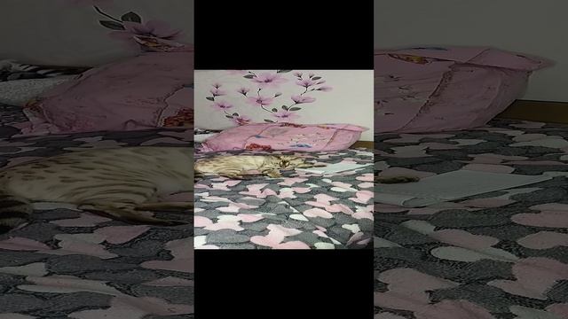 VID_20231018_215746.mp4 смотреть онлайн