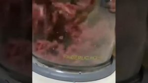 Артикул 910058 мультифункционал