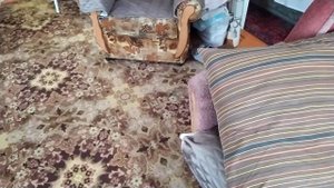 Слив со стиральной машинки и душевой кабины в частном доме!