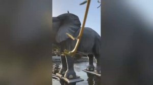 Dubai Miracle Garden 2021/ Vlog/ парк цветов/ Дубай миракал гарден/Влог/#miraclegarden  #влог #парк