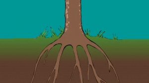 КОРНЕВОЕ ДАВЛЕНИЕ