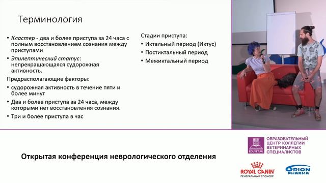 Запись трансляции ОКНО от 17 августа 2020 смотреть онлайн