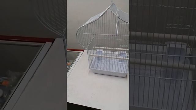 Клетка для птиц в зоомагазине КусьКа | Ярославль смотреть онлайн