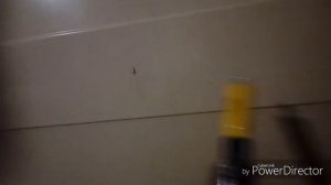 видеоглазок