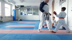 Техника, тактика и стратегия в кумитэ.